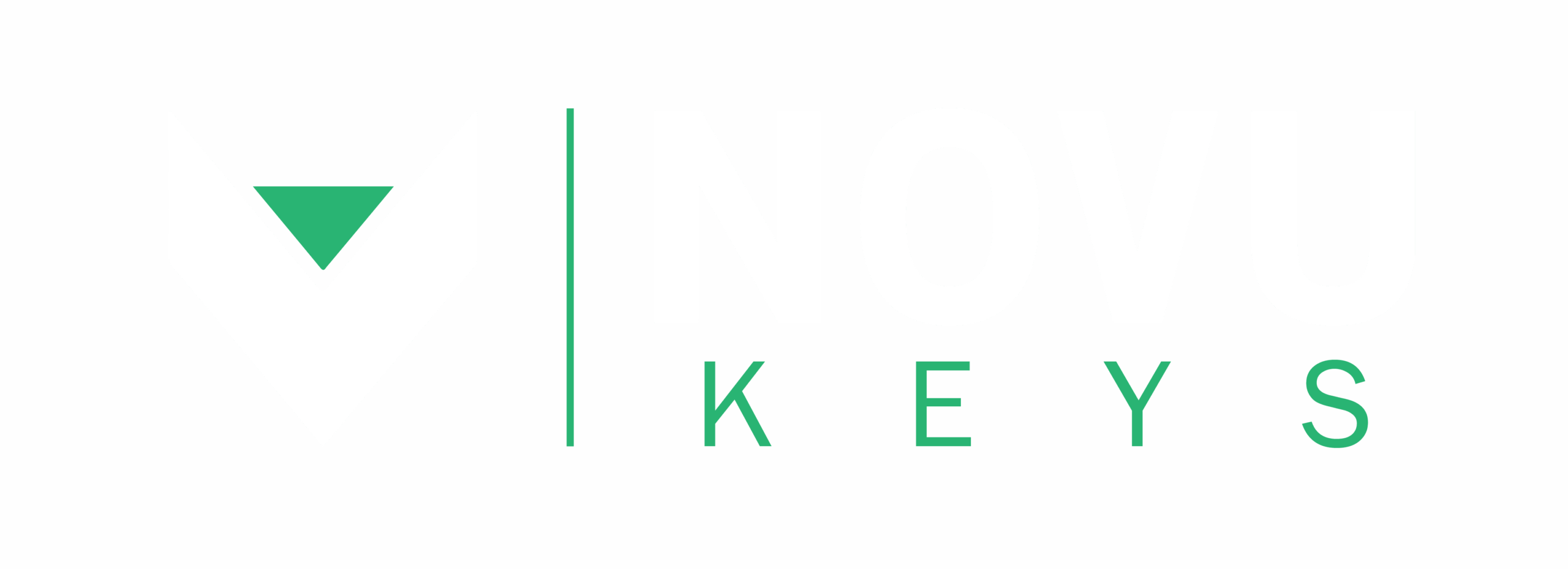 Logo novu keys